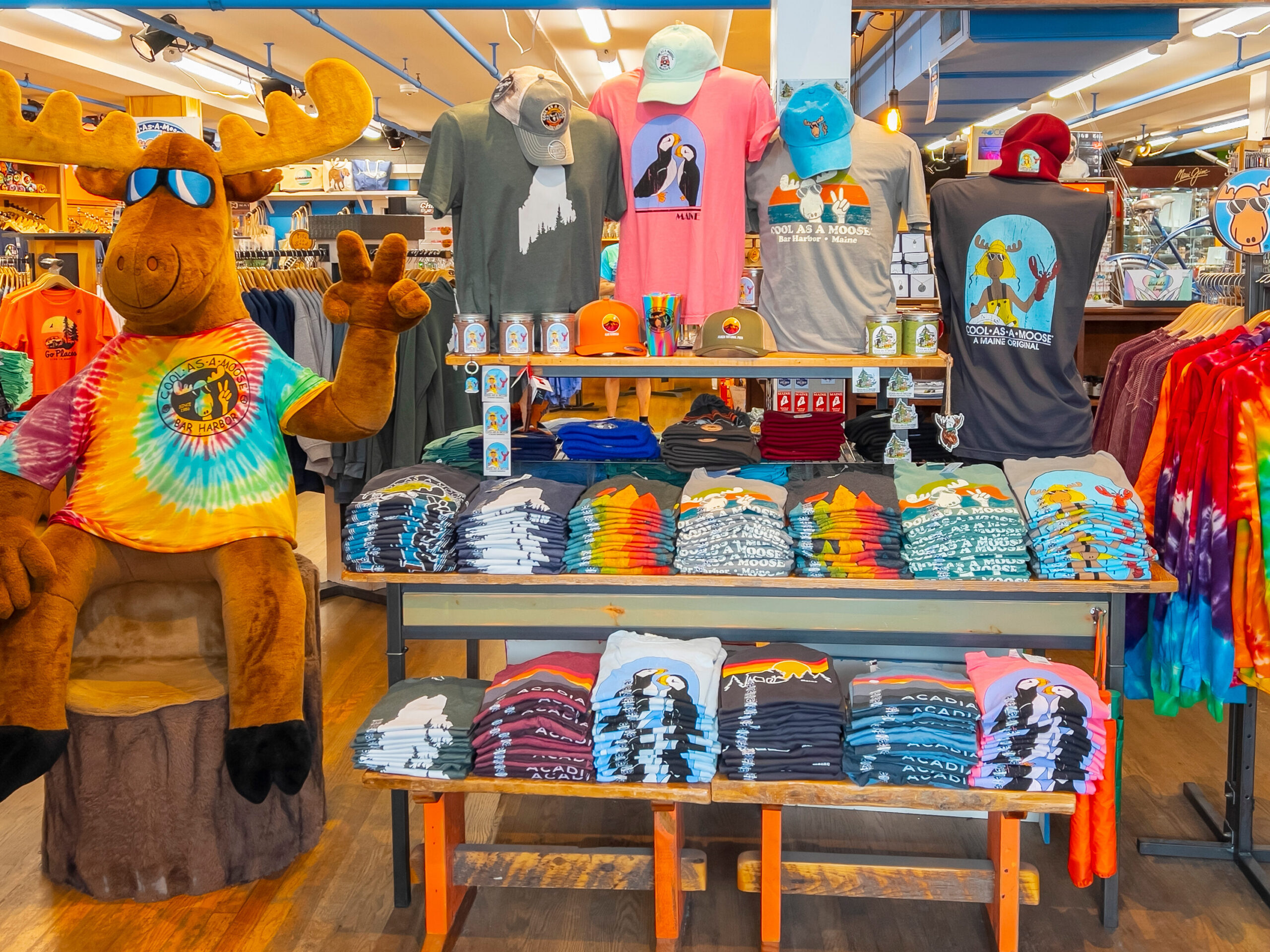 Cool As A Moose shop display with Bar Harbor apparel, gifts, and moose-themed souvenirs